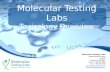 Molecular Testing Labs 2700 NE Andresen Road Suite E3 Vancouver, WA 98661 Phone : 1-360-693-8850 Fax : 1- 360-694-7988 test@moleculartestinglabs.com .