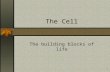 1 The Cell The building blocks of life. 2 The Cell Go to the Cell Size link. .