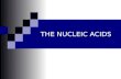 THE NUCLEIC ACIDS. The history of DNA…. Friedrich Miescher Bavarie Oswald Avery Edwin Chargaff Meselsohn and Stahl Hershey and Chase Watson, Crick, Wilkins.