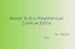 Heart & It’s Rhythmical Contractions Dr. Wasif Haq.
