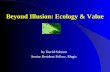 Beyond Illusion: Ecology & Value by David Schrom Senior Resident Fellow, Magic.
