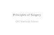 Principles of Surgery EFE Veterinary Science. For best surgical outcomes Minimize contaminationMinimize blood loss Minimize surgical timeStable anesthetic.