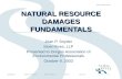 NATURAL RESOURCE DAMAGES FUNDAMENTALS Joan P. Snyder Stoel Rives, LLP Presented to Oregon Association of Environmental Professionals October 9, 2003.