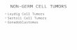 NON-GERM CELL TUMORS Leydig Cell Tumors Sertoli Cell Tumors Gonadoblastomas.