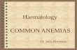 COMMON ANEMIAS Haematology Dr. Janis Bormanis Common anemias 4 Iron deficiency 4 Megaloblastic anemias 4 Secondary anemias to chronic diseases Anemia.