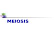 MEIOSIS. Meiosis Division of sex cells, called gametes Meiosissexual reproduction Meiosis is sexual reproduction.