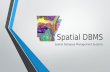 Spatial DBMS Spatial Database Management Systems.