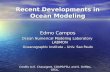 Recent Developments in Ocean Modeling Edmo Campos Ocean Numerical Modeling Laboratory LABMON Oceanographic Institute – Univ. Sao Paulo Credits to E. Chassignet,