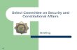 Select Committee on Security and Constitutional Affairs Briefing 0.