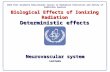 Biological Effects of Ionizing Radiation Deterministic effects Neurovascular system Lecture IAEA Post Graduate Educational Course Radiation Protection.