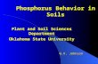 Phosphorus Behavior in Soils Plant and Soil Sciences Department Oklahoma State University Plant and Soil Sciences Department Oklahoma State University.