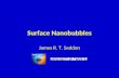 Surface Nanobubbles James R. T. Seddon. “Nanobubble” Height approx. 20-50nm Width approx. 50-200nm “Micropancake” Height approx. 1-2nm Width approx. 1-3μm.