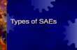 Types of SAEs. An SAE is…  S upervised A gricultural E xperience  Cognitive approach (purpose is to learn)  Hands on learning experience  Students.