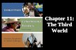 Chapter 11: The Third World. Thinking About The Third World The Basics Poverty Environmental Threats Ethnicity and Conflict Globalization and Structural.