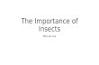 The Importance of Insects Why we care. Beneficial traits: Make food products: Bees Are edible: Grasshoppers, Beetles, Ants Pollinate flowers: Bees, wasps,