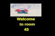 Welcome to room 43. Schedule for 2012-2013 Period 1…Social Studies Period 2…Language Period 3…Social Studies Period 4…Language Period 5… Social Studies.