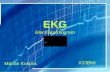EKG Electrokardiogram X33BMI Marián Kukura. Obsah Srdce - prehľad História EKG EKG Odkazy.