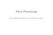 Plant Physiology Cell differentiation and Senescence.