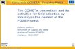 Www.consorzio-cometa.it FESR Consorzio COMETA - Progetto PI2S2 The COMETA consortium and its activities for Grid adoption by Industry in the context of.