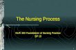 1 The Nursing Process NUR 403 Foundations of Nursing Practice SP 10.