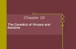 Chapter 18 The Genetics of Viruses and Bacteria. Tobacco Mosaic Virus In the late 19th century, scientists were working with a disease that infected the.