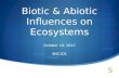 Biotic & Abiotic Influences on Ecosystems October 19, 2012 SNC1D1.