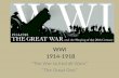WWI 1914-1918 “The War to End all Wars” “The Great One”