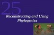 25 Reconstructing and Using Phylogenies. 25 Phylogenetic Trees Steps in Reconstructing Phylogenies Reconstructing a Simple Phylogeny Biological Classification