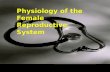 Physiology of the Female Reproductive System. Physiological Stages Neonatal period: birth---4 weeks Childhood: 4 weeks----12 years Puberty: 12 years---18.