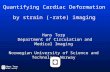 Quantifying Cardiac Deformation by strain (-rate) imaging Hans Torp NTNU, Norway Hans Torp Department of Circulation and Medical Imaging Norwegian University.