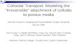 Colloidal Transport: Modeling the “Irreversible” attachment of colloids to porous media Summer School in Geophysical Porous Media, Purdue University July.
