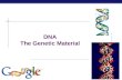 AP Biology DNA The Genetic Material AP Biology Scientific History  The march to understanding that DNA is the genetic material  T.H. Morgan (1908)