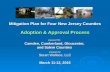 Mitigation Plan for Four New Jersey Counties Adoption & Approval Process prepared for: Camden, Cumberland, Gloucester, and Salem Counties prepared by: