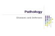 Pathology Diseases and Defenses. Section One Pathogens.