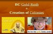 BC Gold Rush + Creation of Colonies. BC Gold Rush -Fur Trade increased settler population but…. The Gold Rush exploded BCs population Population Explosion: