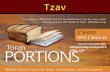 Tzav biblestudyresourcecenter.com. Tzav Leviticus 6:1 – 8:36 Haftarah: Malachi 3:4 - 24 Gospel: Mark 7:31 – 9:1 Tzav = “Command!” The 24 nd Torah Portion.