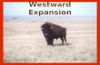 Westward Expansion. Great Plains  Vast grasslands between the Mississippi River and the Rocky Mountains  Before 1850 it was home to 10 million Native.