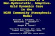KoreaCAM-EULAG February 2008 Implementation of a Non-Hydrostatic, Adaptive-Grid Dynamics Core in the NCAR Community Atmospheric Model William J. Gutowski,