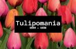 Tulipomania 1559 – 1636. Constantinople X X o 1559: tulip bulbs sent to Counsellor Herwart in Augsburg o became popular with the wealthy in Germany.