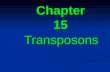 Chapter 15 Transposons. 15.1 Introduction 15.2 Insertion sequences are simple transposition modules 15.3 Composite transposons have IS modules 15.4 Transposition.