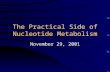 The Practical Side of Nucleotide Metabolism November 29, 2001.