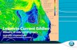 Leeuwin Current Eddies Altimetry, HF radar and SST imagery David Griffin & Madeleine Cahill CSIRO Marine and Atmospheric Research.