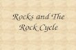 Rocks and The Rock Cycle. 3 Main Rock Types Igneous Sedimentary Metamorphic.