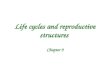 Life cycles and reproductive structures Chapter 9.