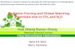 Radiative Forcing and Global Warming Potentials due to CH 4 and N 2 O Hua Zhang Ruoyu Zhang National Climate Center China Meteorological Administration.