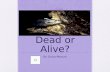 Dead or Alive? By Onica Manuel An Opossums Wildlife. Sometimes an opossum meets a predator. It shows its 50 teeth to scare the predator away. An opossums.