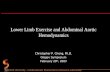 Stanford University - Cardiovascular Biomechanics Research Laboratory Lower Limb Exercise and Abdominal Aortic Hemodynamics Christopher P. Cheng, Ph.D.