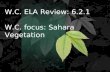 W.C. ELA Review: 6.2.1 W.C. focus: Sahara Vegetation.