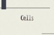 Cell Theory Cells are basic unit of life Cells are produced from other cells Cells maintain homeostasis Homeostasis of tissues, and higher results from.