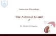 Endocrine Physiology The Adrenal Gland 2 Dr. Khalid Al-Regaiey.